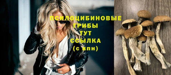 гашиш Богородицк
