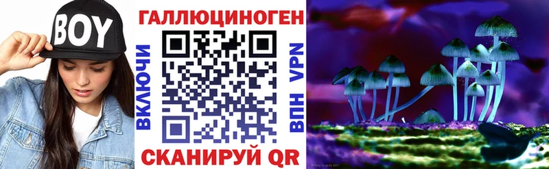 Псилоцибиновые грибы Magic Shrooms MEGA онион Кушва